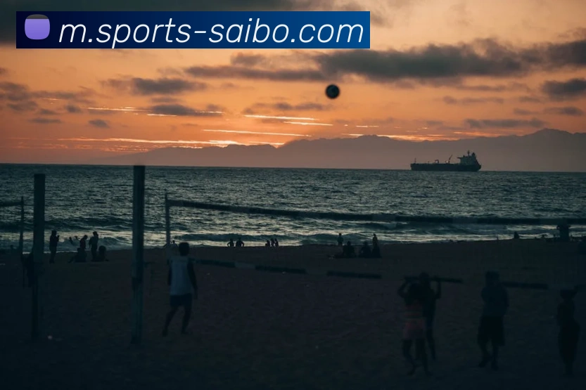 体育下注平台生态图