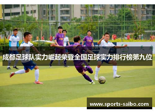 成都足球队实力崛起荣登全国足球实力排行榜第九位