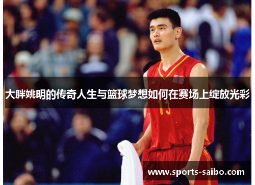 大胖姚明的传奇人生与篮球梦想如何在赛场上绽放光彩